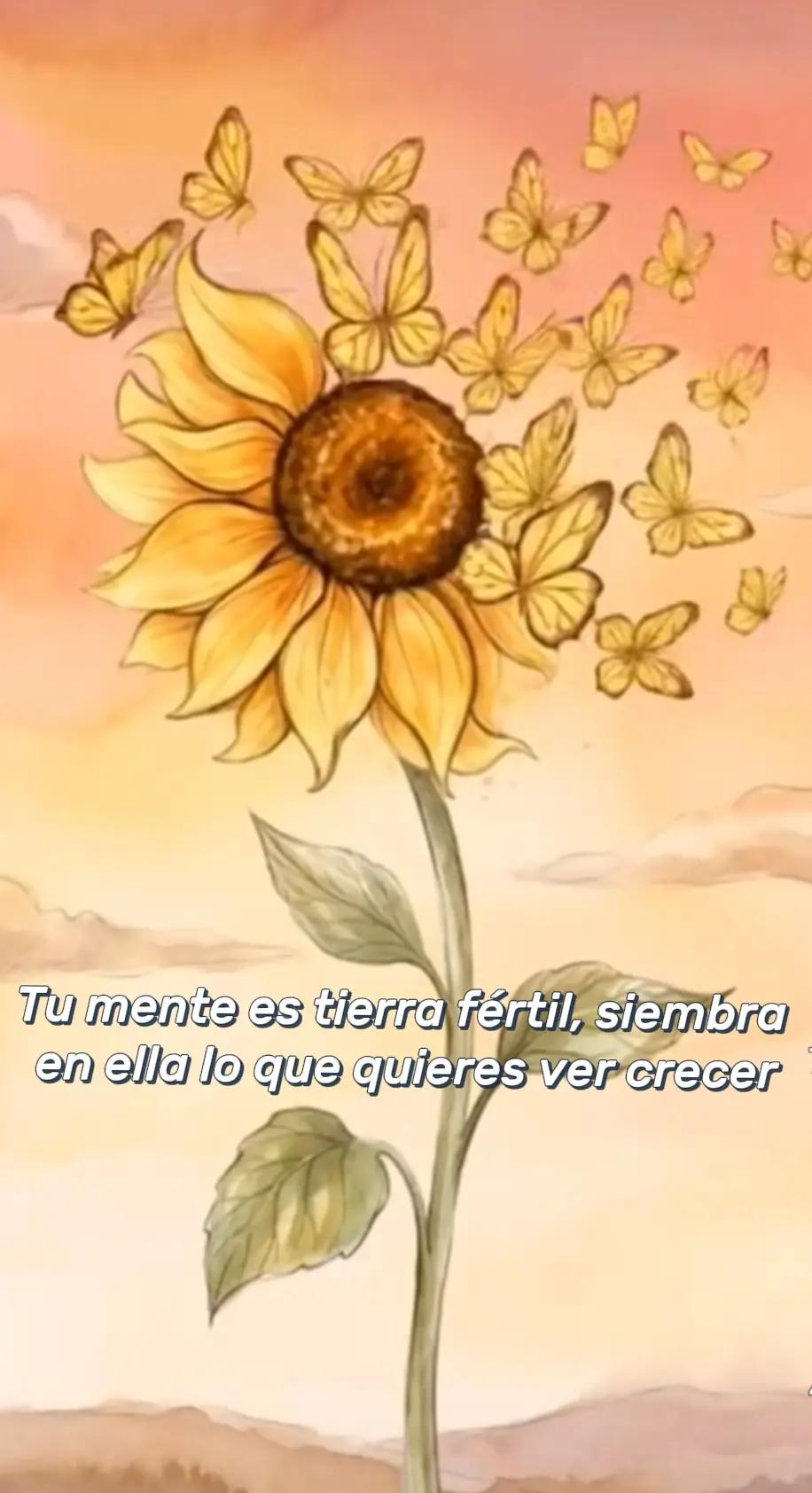 @karib