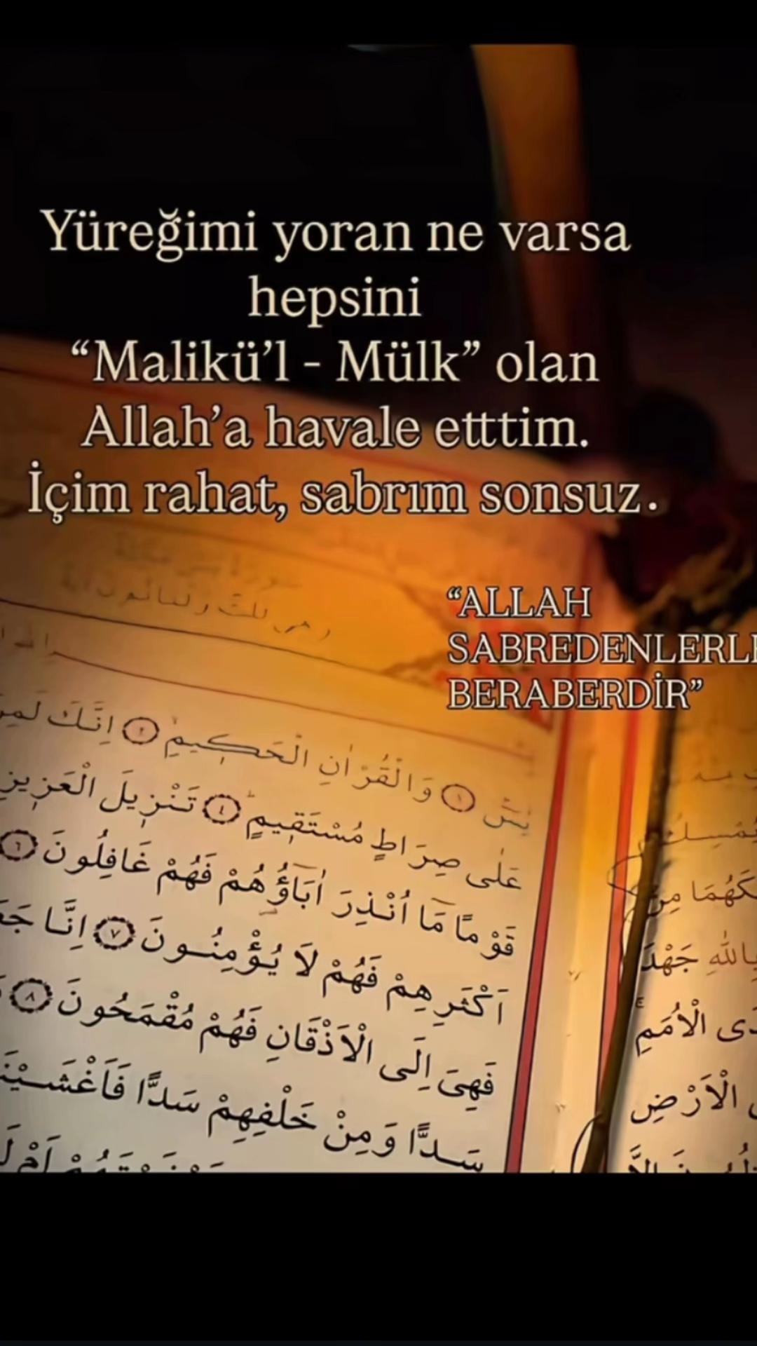 @ravzanur740