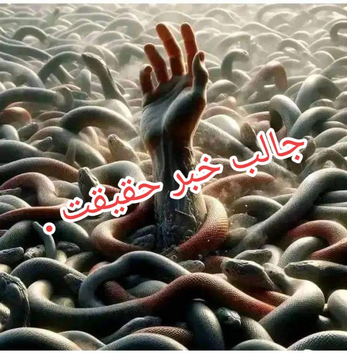 @ابراهیم جان