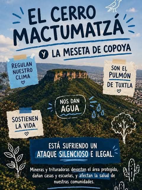 @La Banana Ambiental