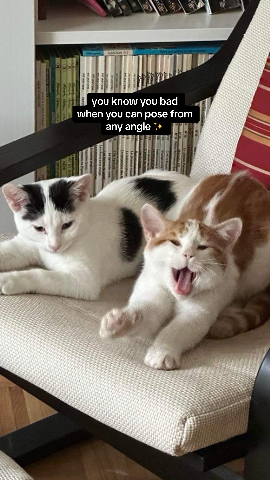 @Levi & Loki