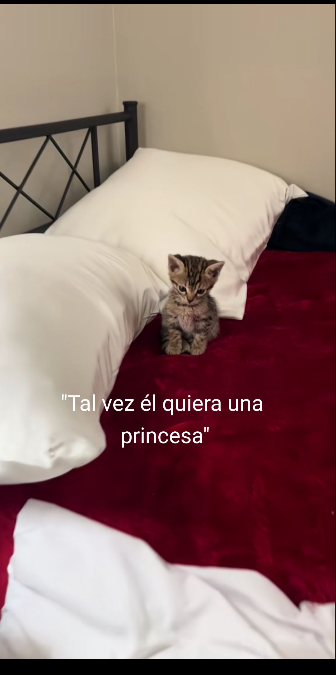 @Marrrr
