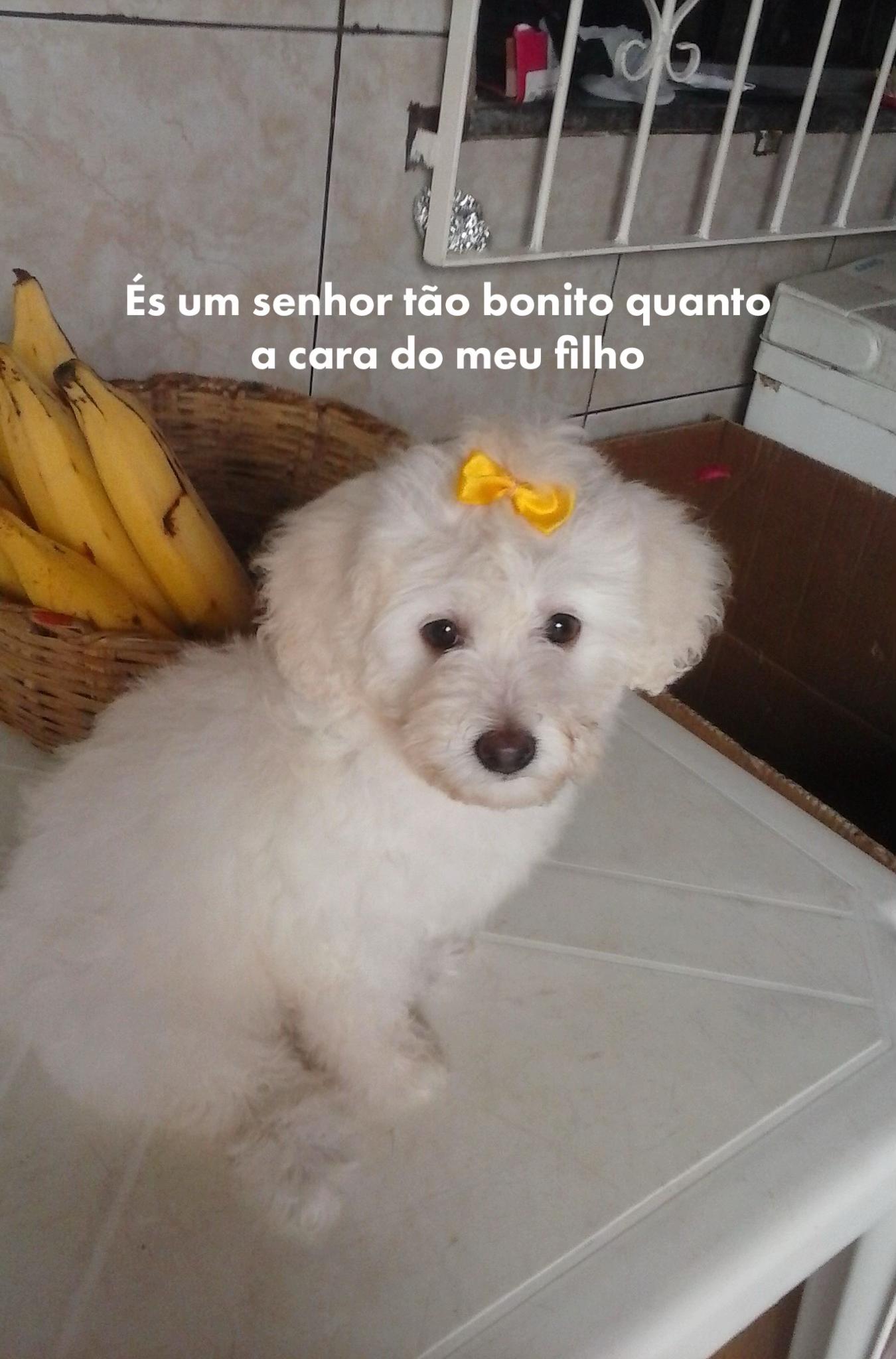@clara