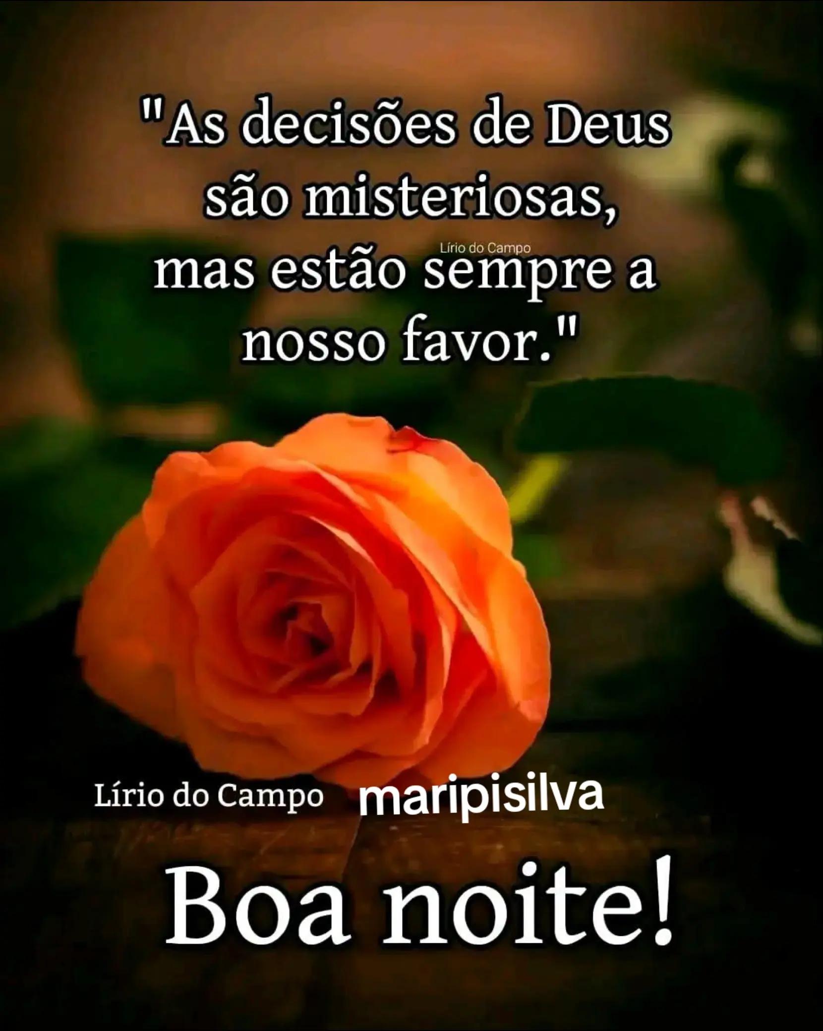 @Maripi Silva
