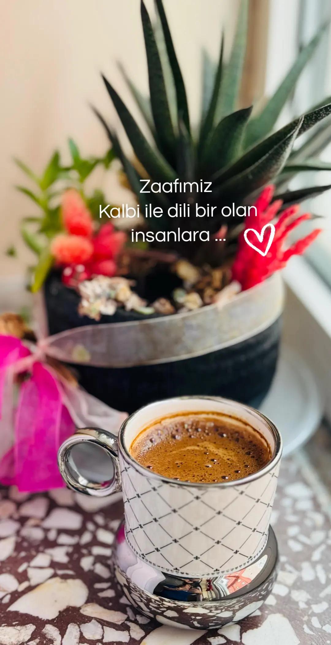 @Hanife Yakut