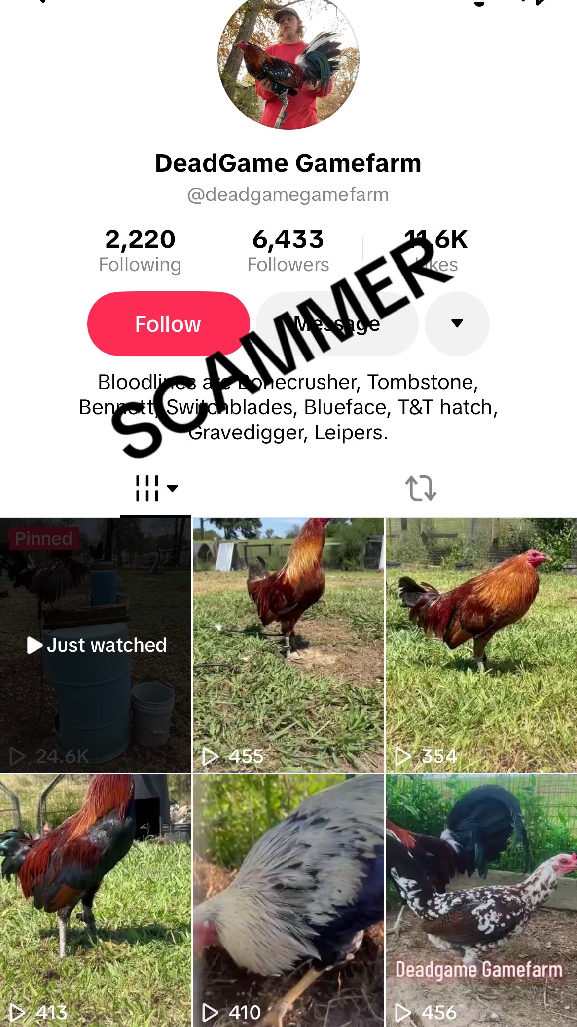 @DeadGame.Gamefarm