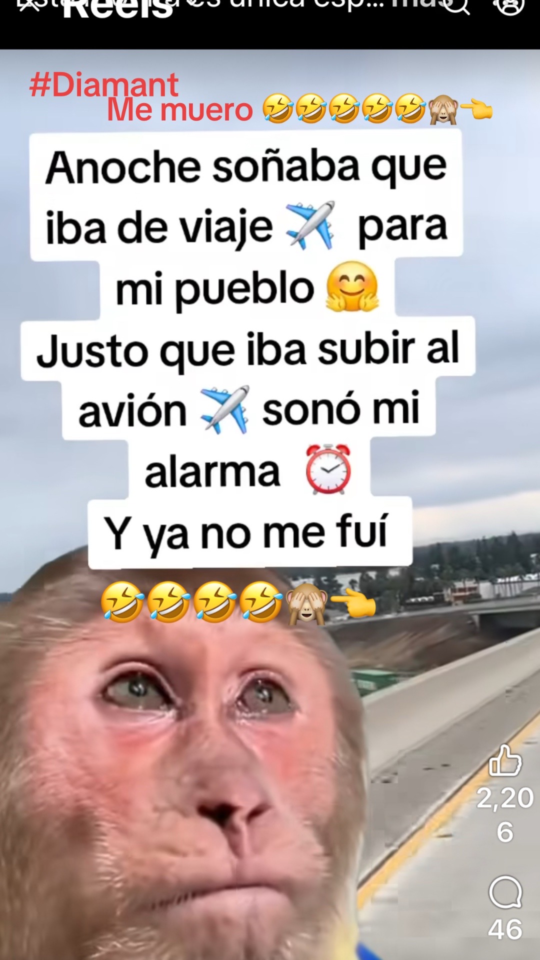 @Diana Umanzor