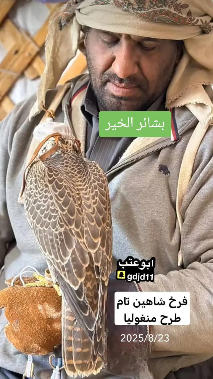 @الشاهين البحري🇲🇦