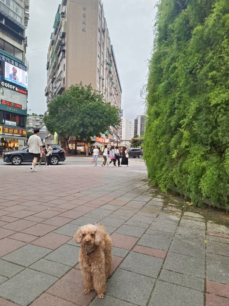 @辰辰