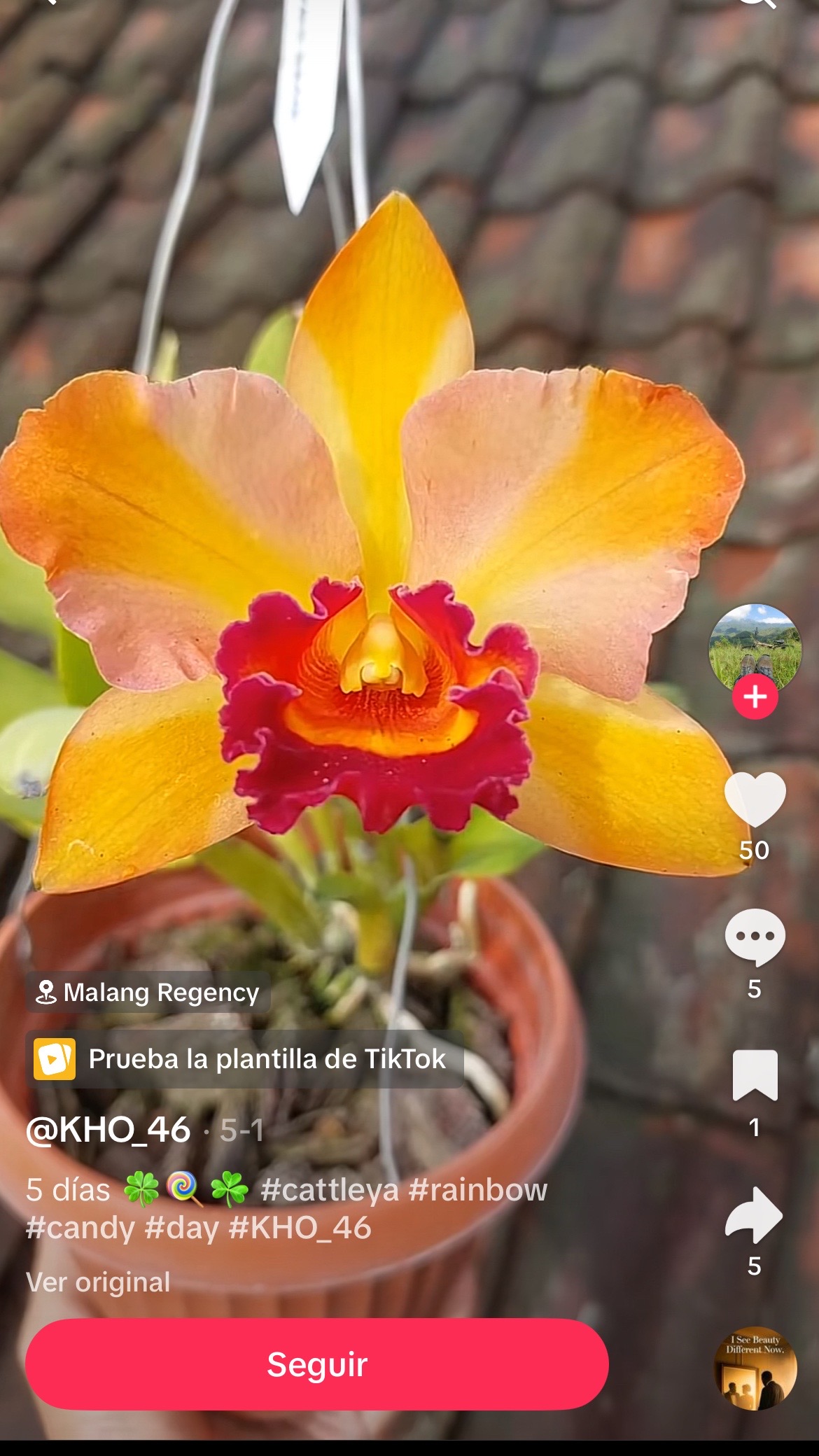 @María Flores