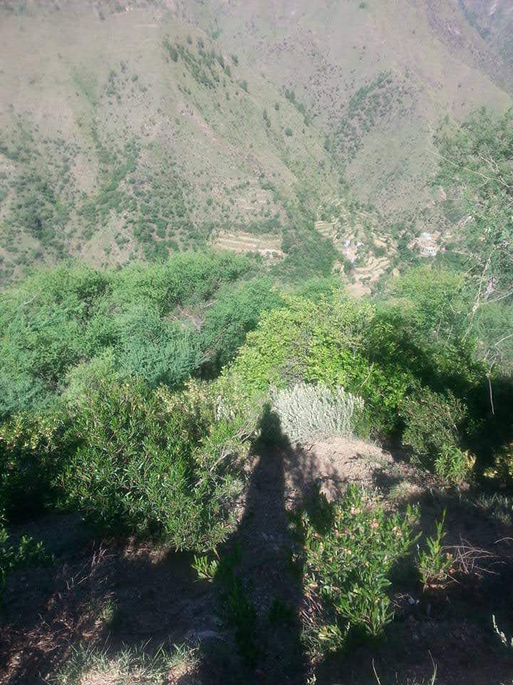 @✌(AMJID)TIkTOKAR.✅