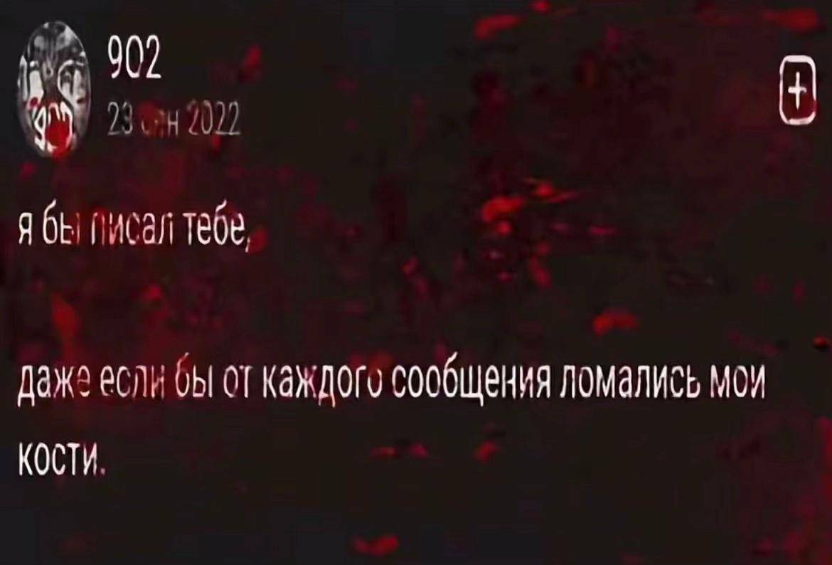 @shatenka
