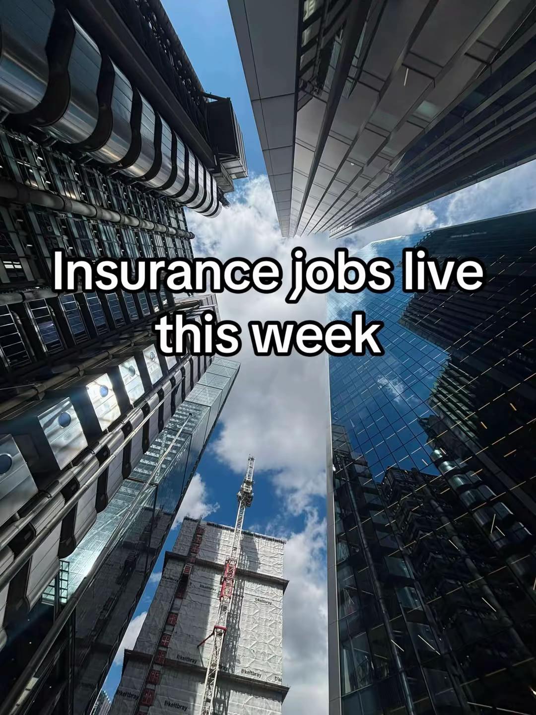 @Insurance TikTok