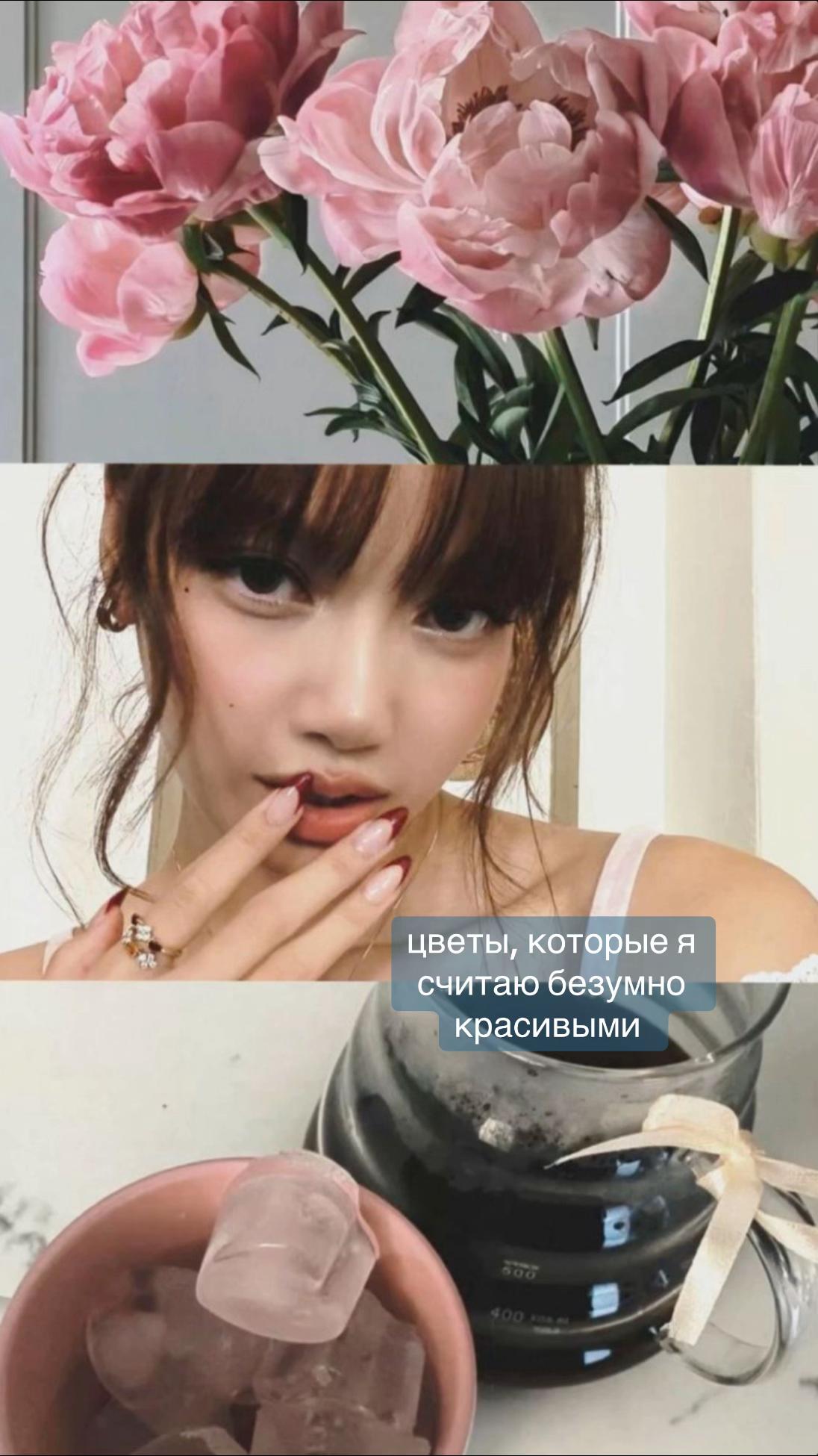 @роналдо228