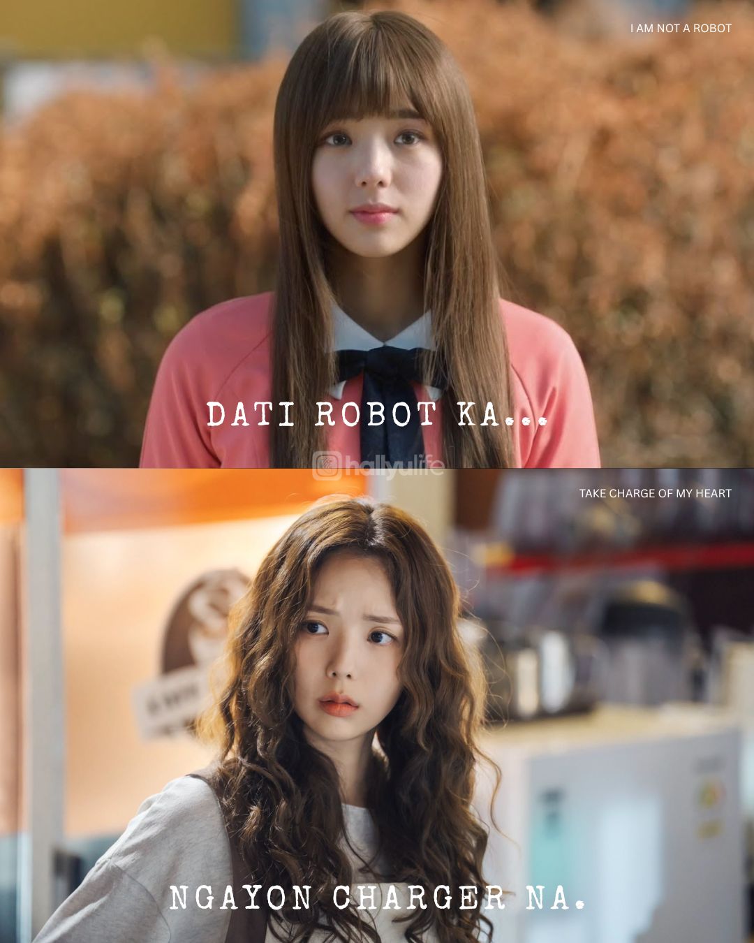 @HallyuLife