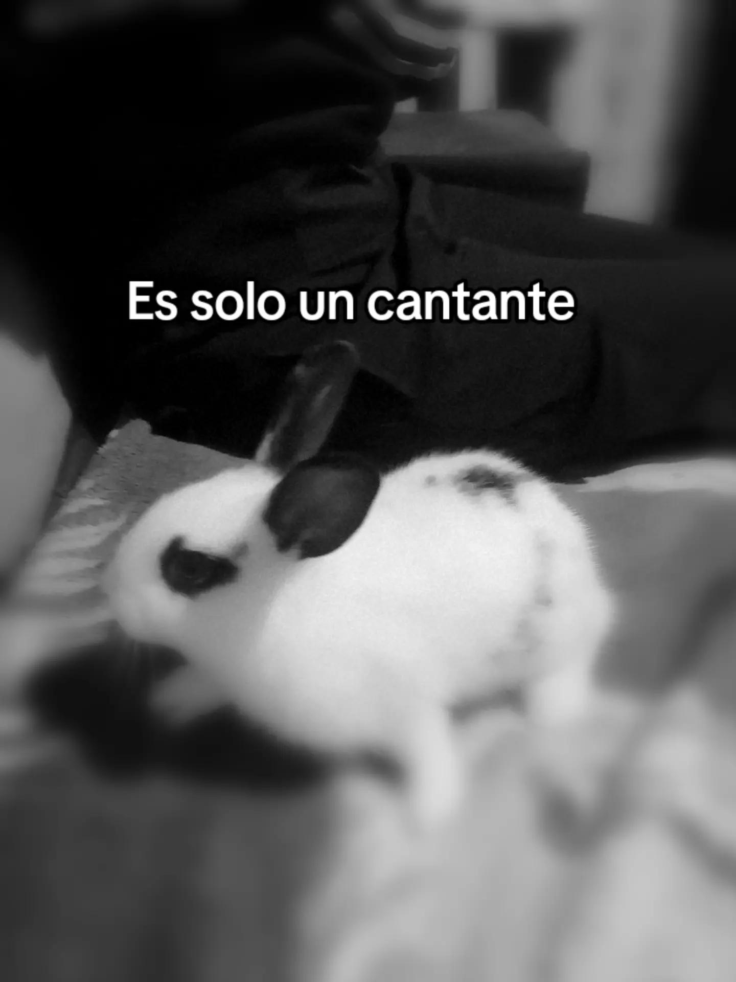@★ Paola jazmin ★