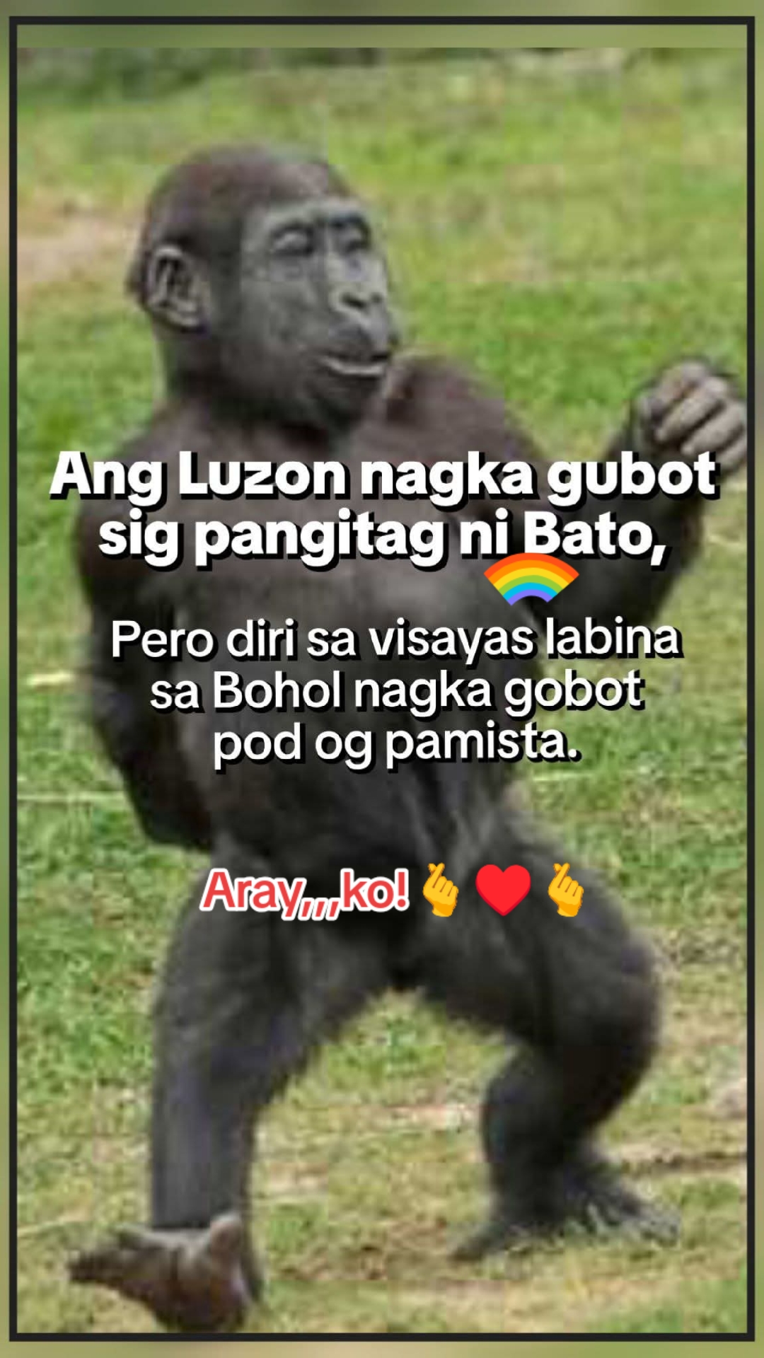 @Aray ko!