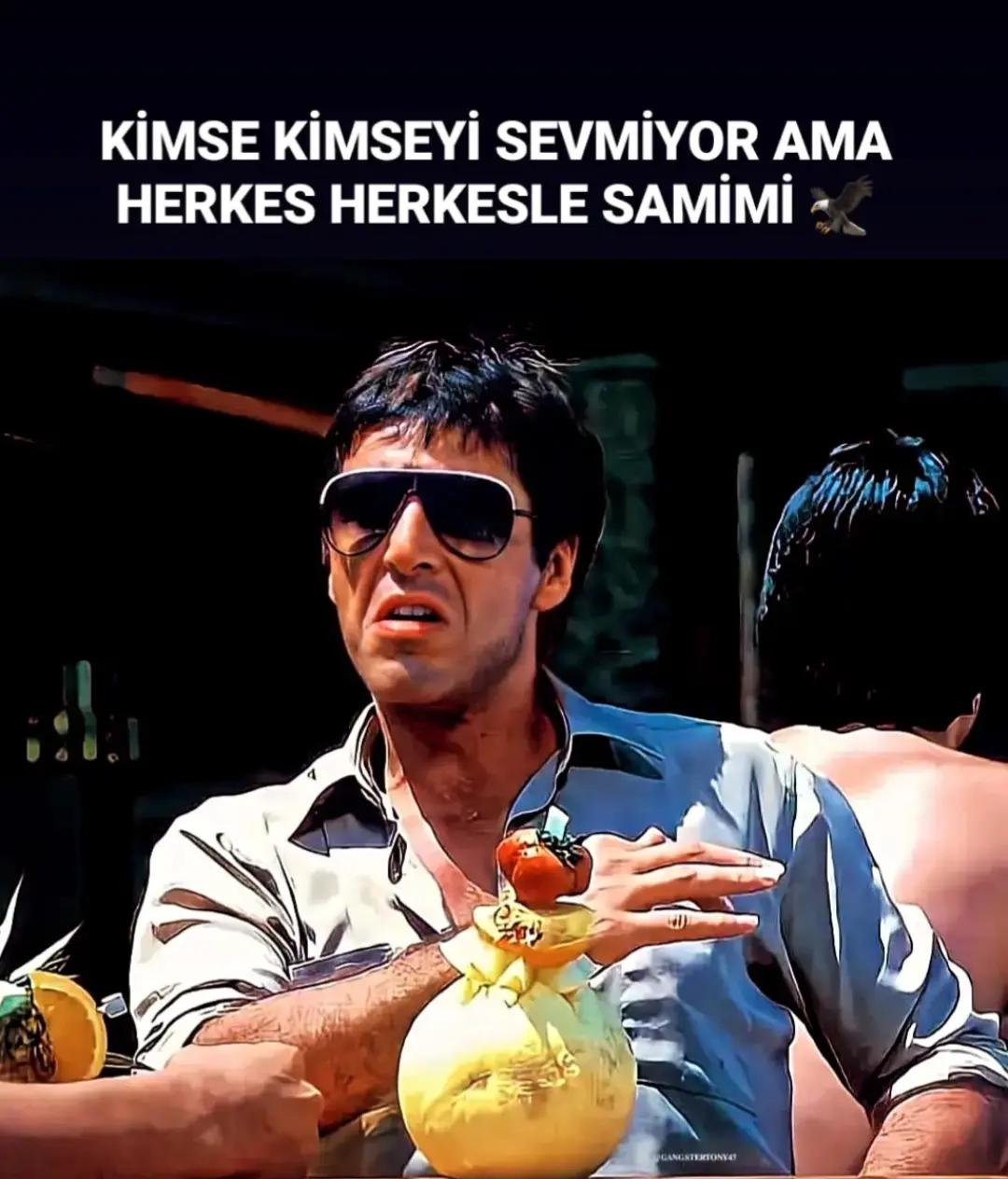 @yaserkanmarci🦁🧢