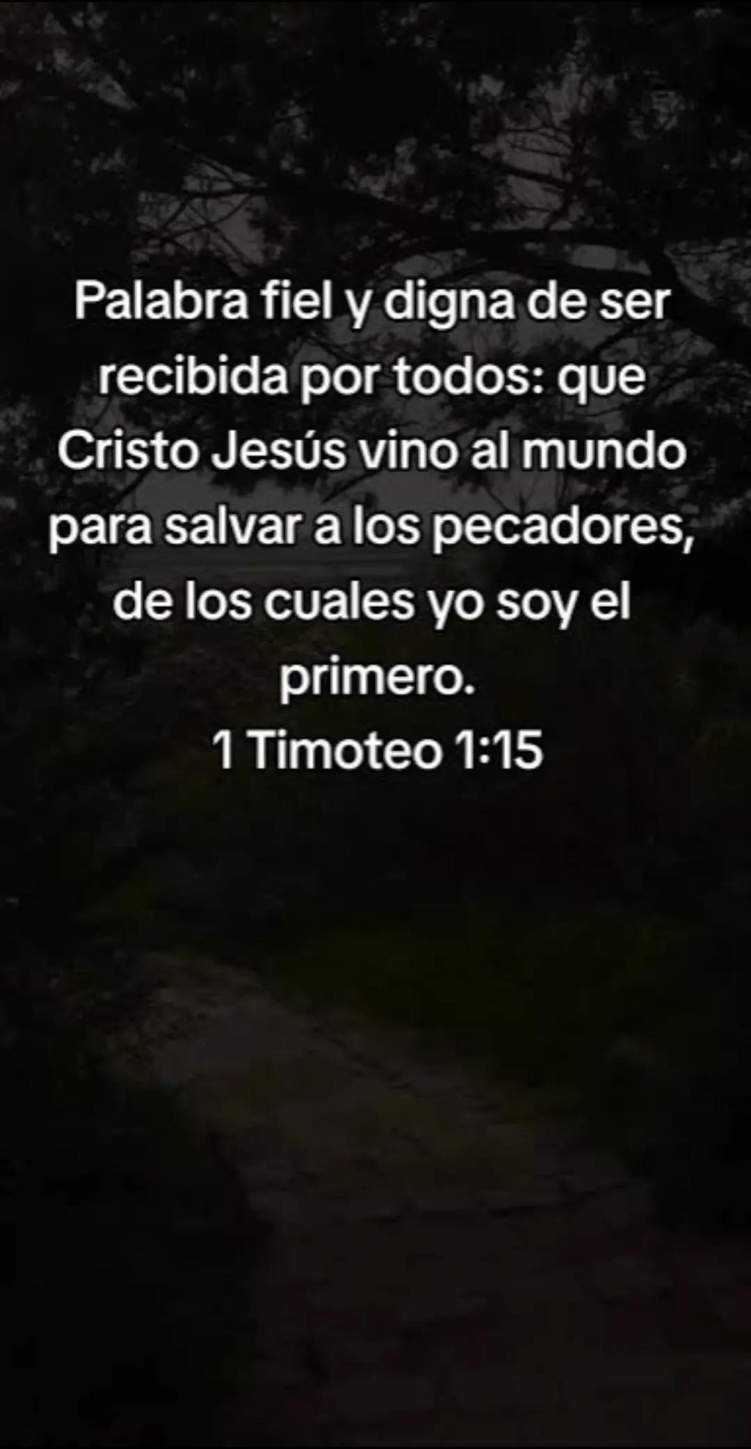 @Viloba05. BY VILOBA INC