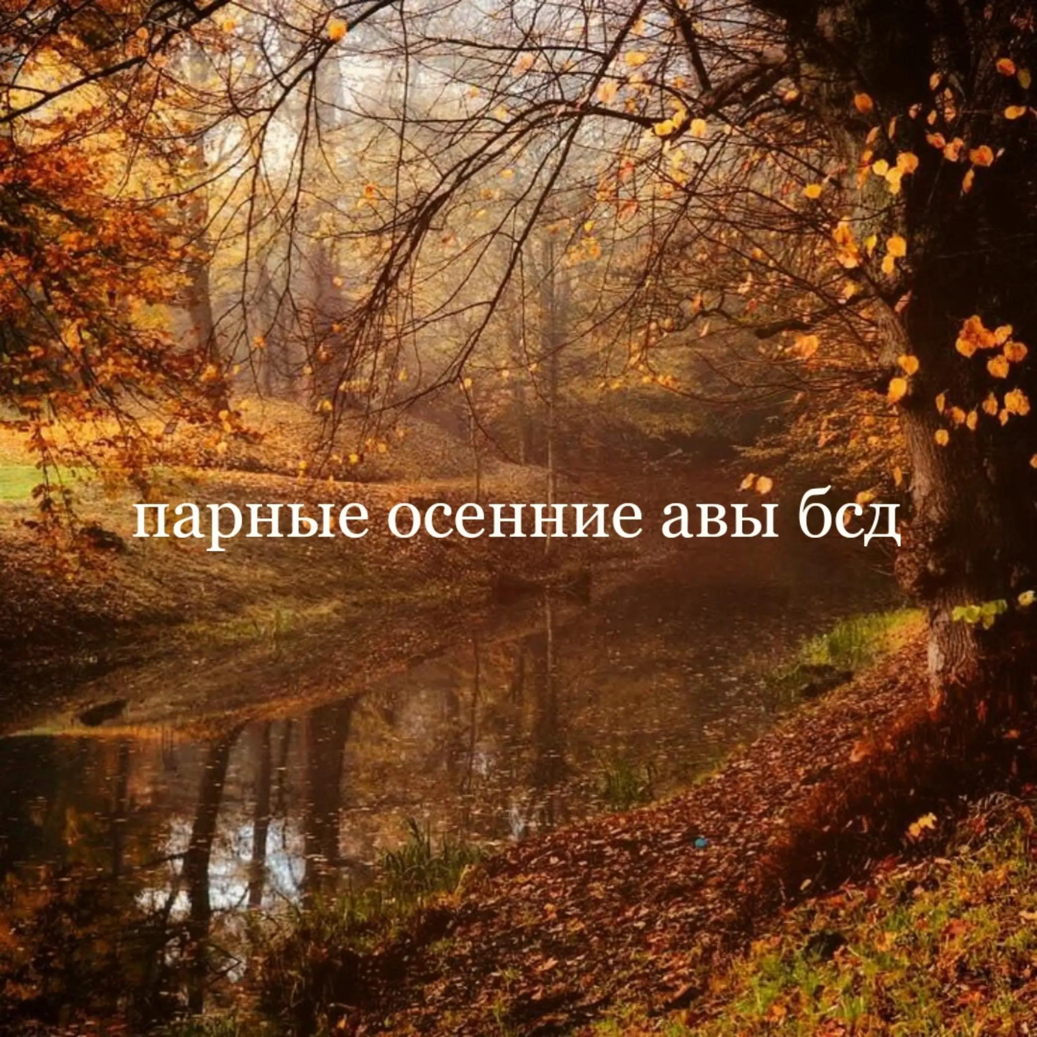 @гавчик