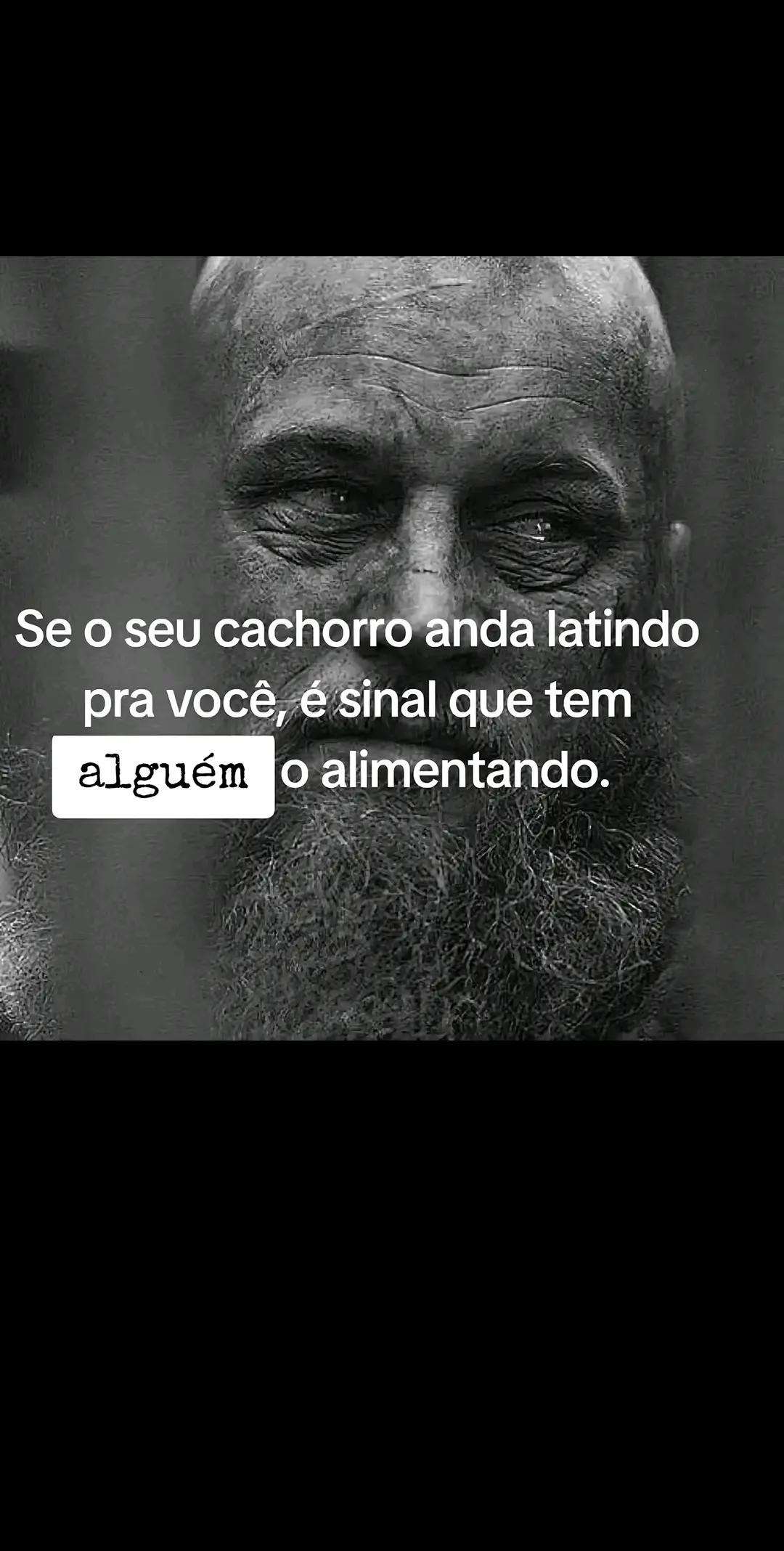 @user04556264564
