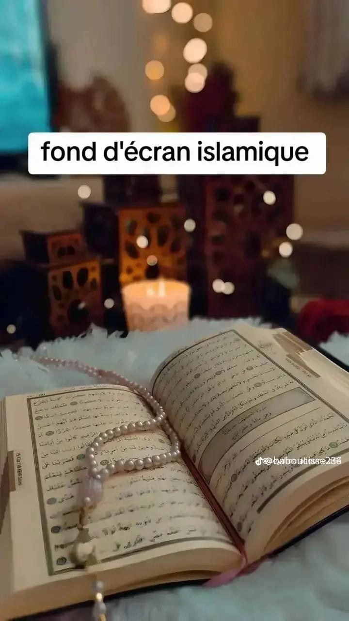 @prince charmant 🌸🇸🇳⭐️⭐️