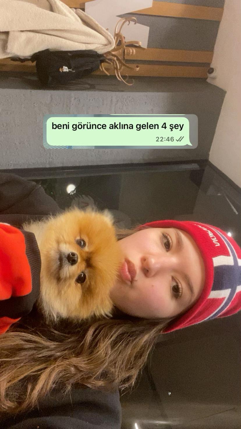 @tanimiyorum