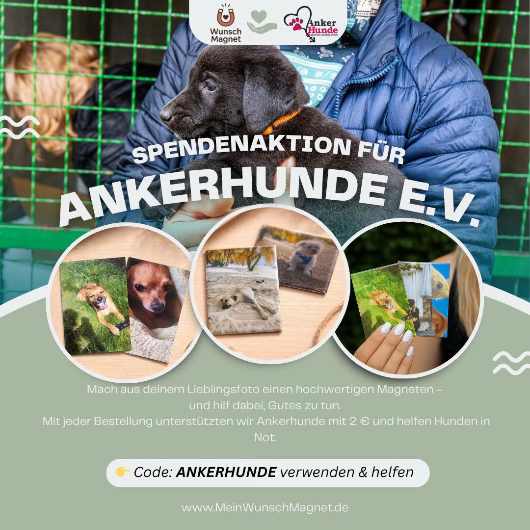 @Ankerhunde e.V.