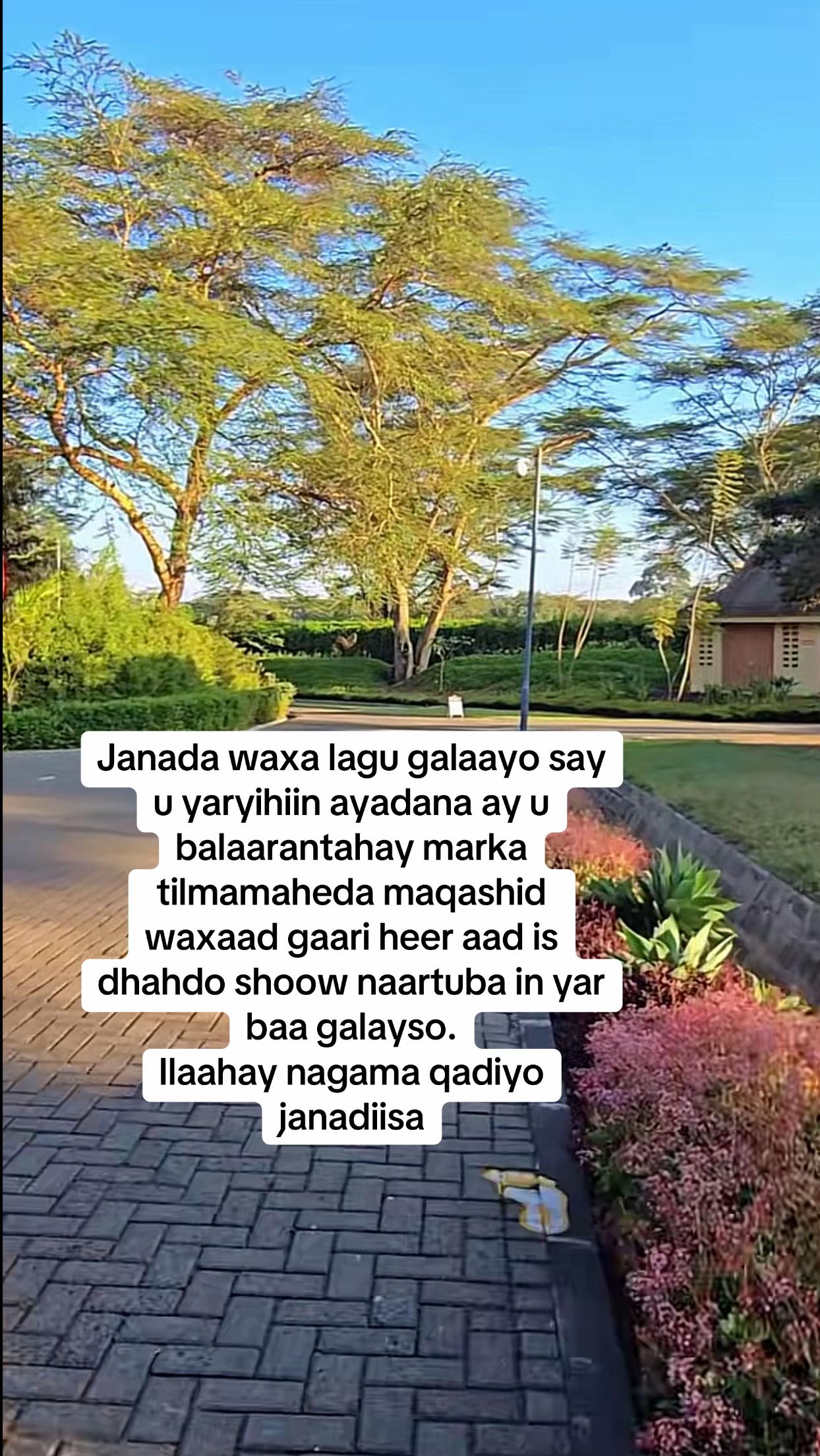 @Raaedat foundation