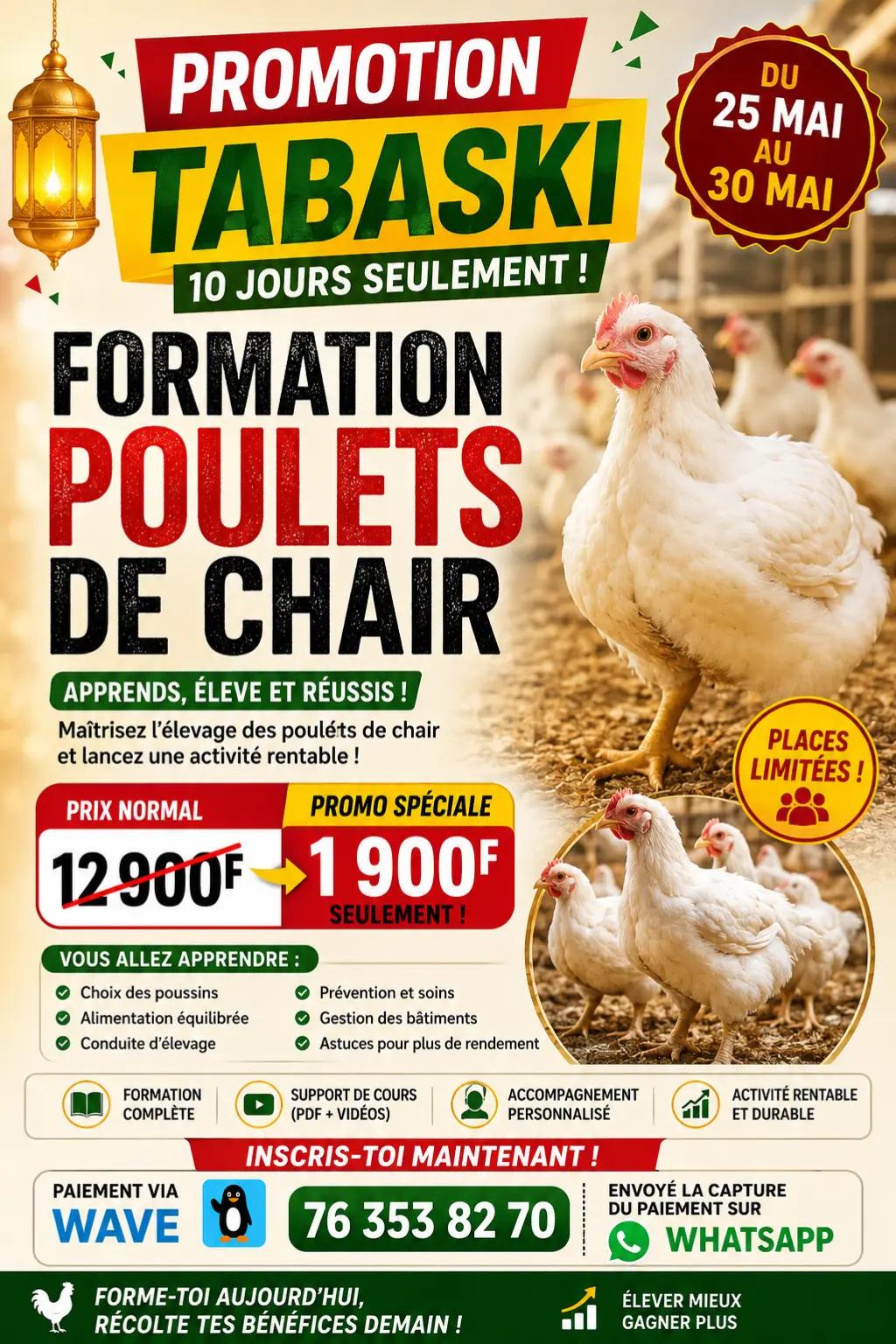 @NDIAYE-BREEDING 🐔