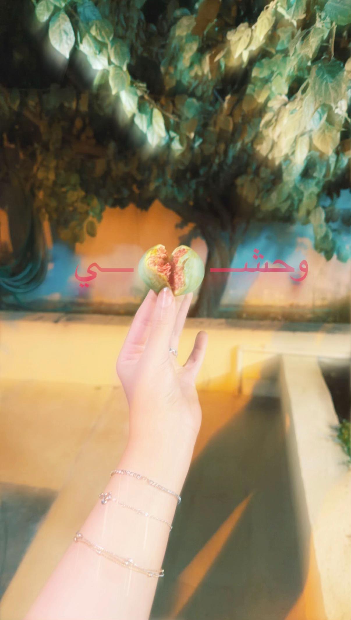 @إيلاف الشهري