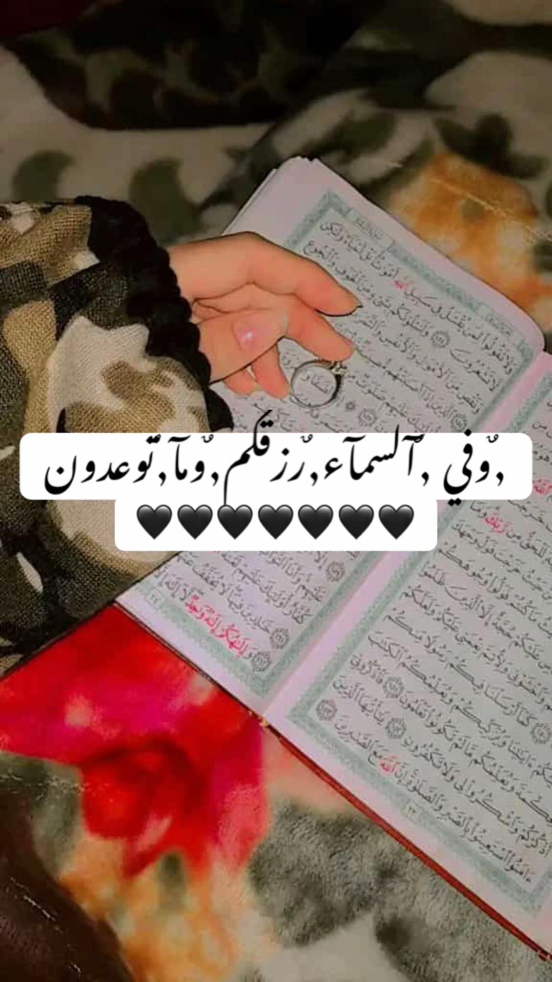 @🔹صفـ𓂆ـآء بشآرات🖤🇵🇸