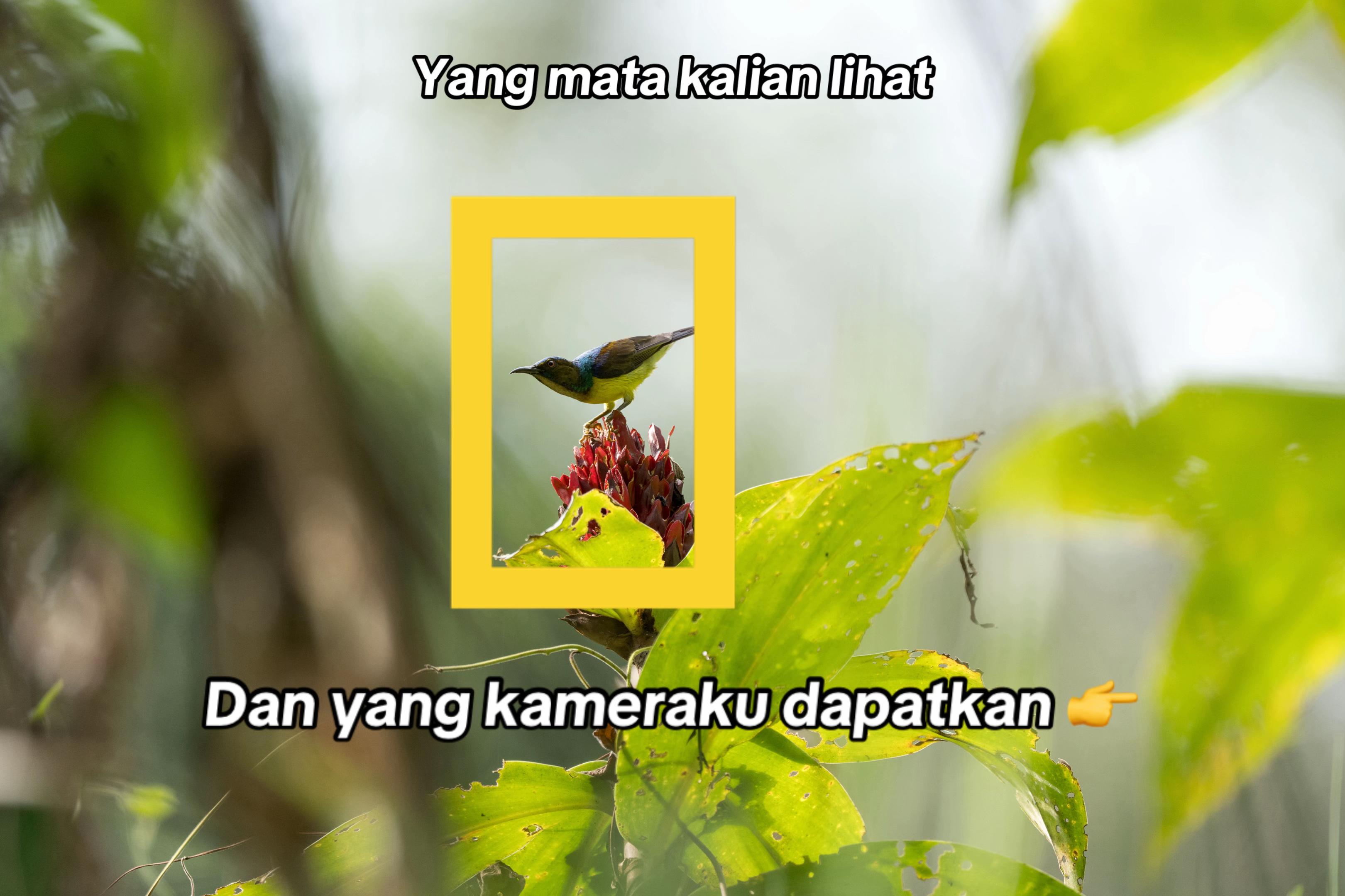 @hndrwl