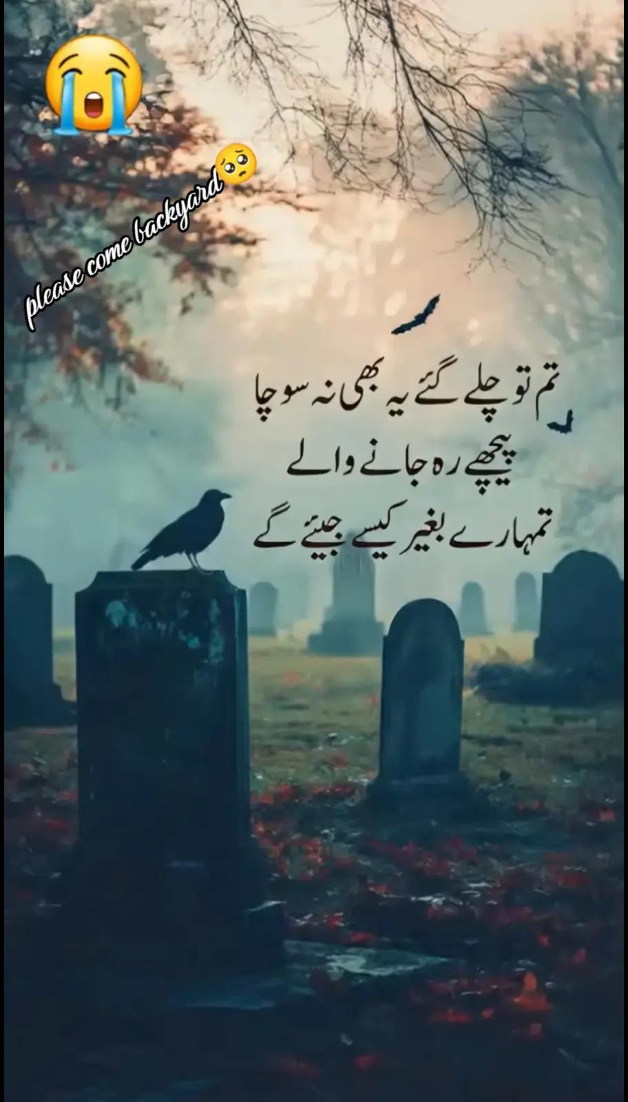 @Fazil Shaikh