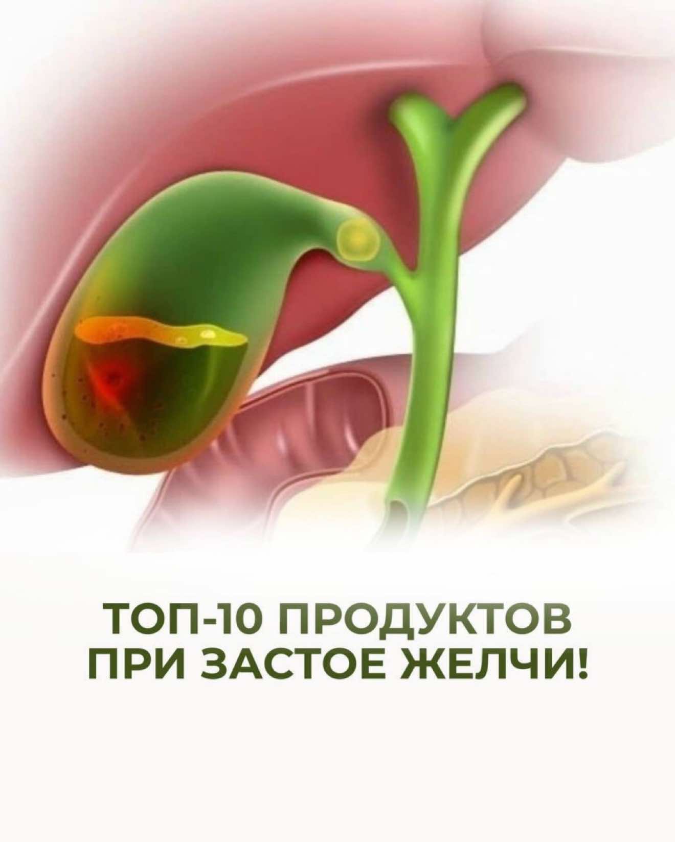 @Анна Гоголева