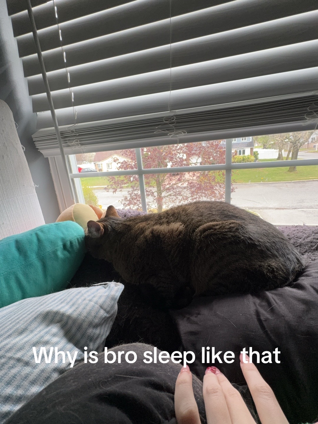 @secretballs