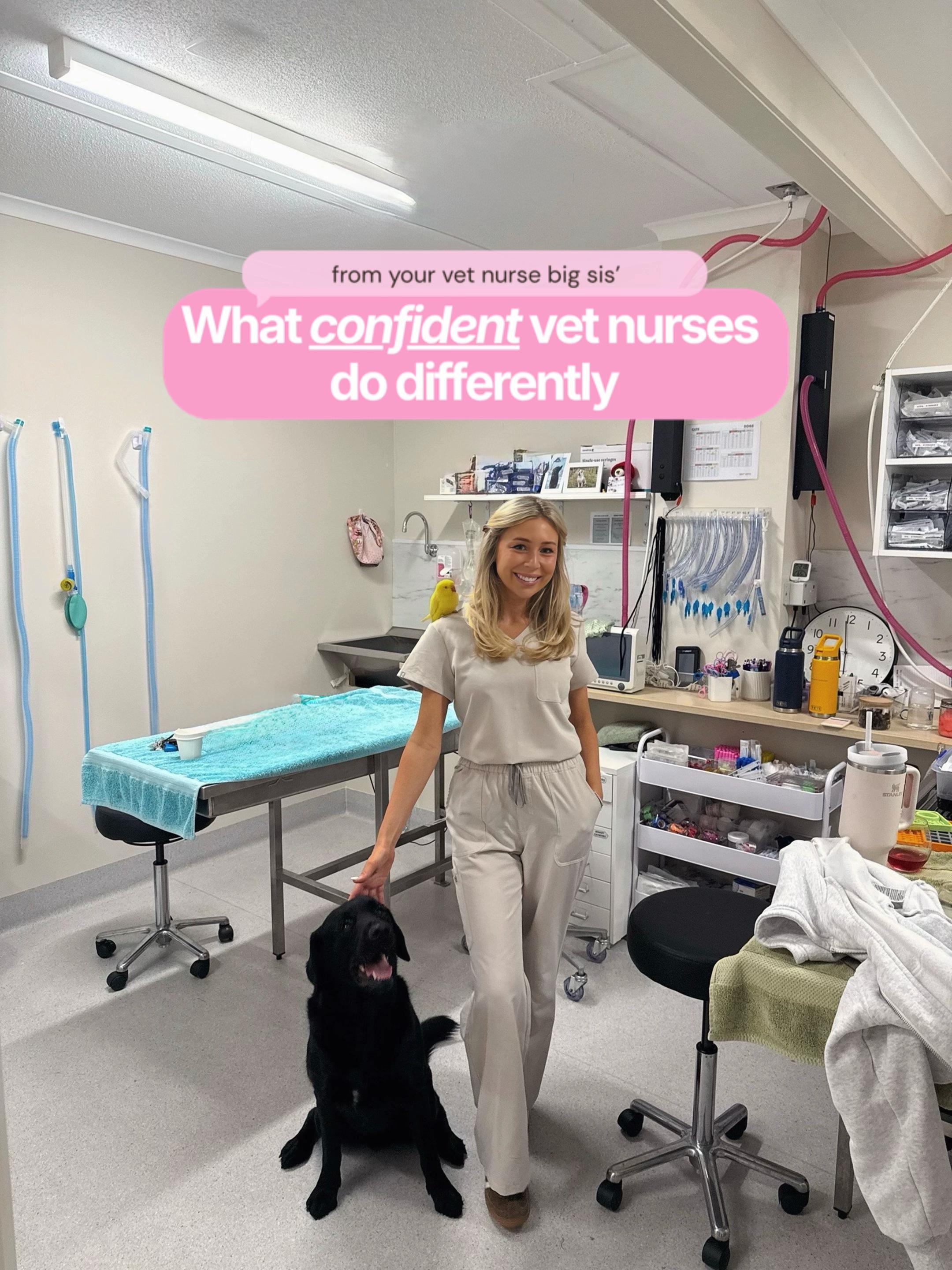 @Tess the Vet Nurse
