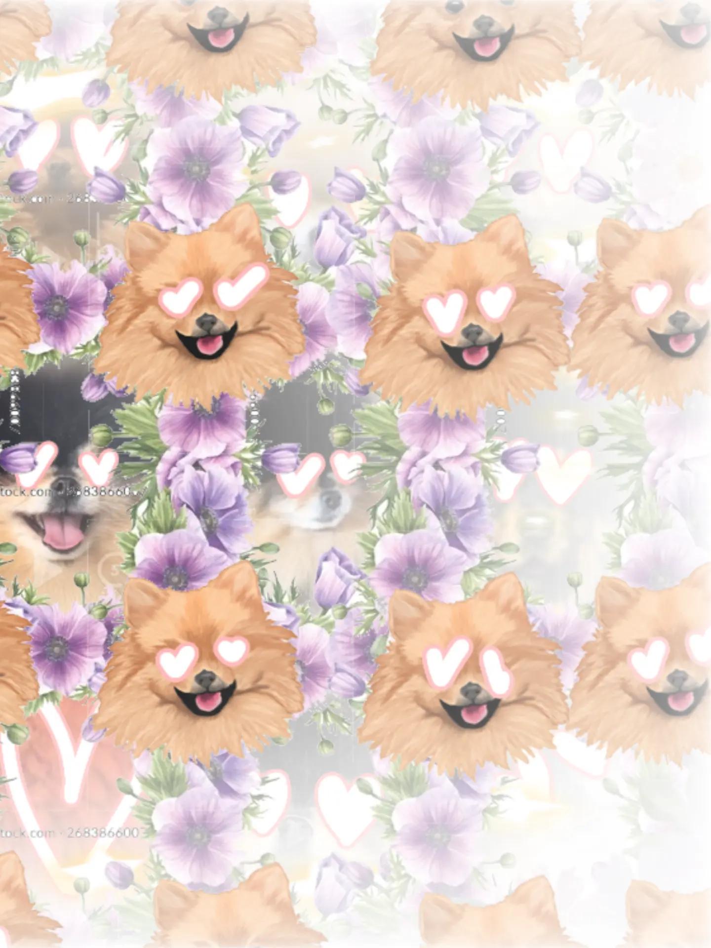 @♬♩♪♩ ♩♪♩♬Mهင H A♬♩♪♩ ♩♪♩♬