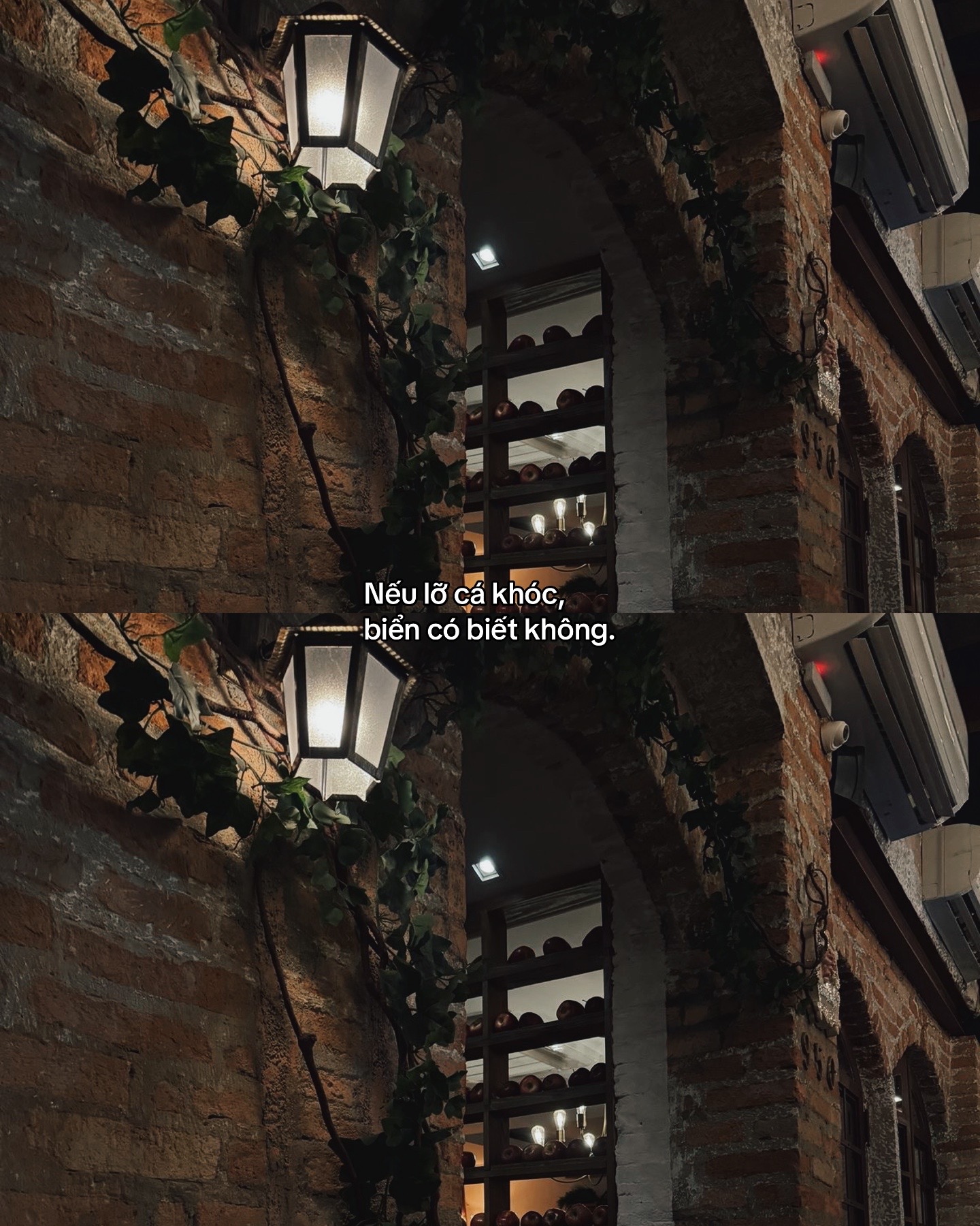 @𝙉