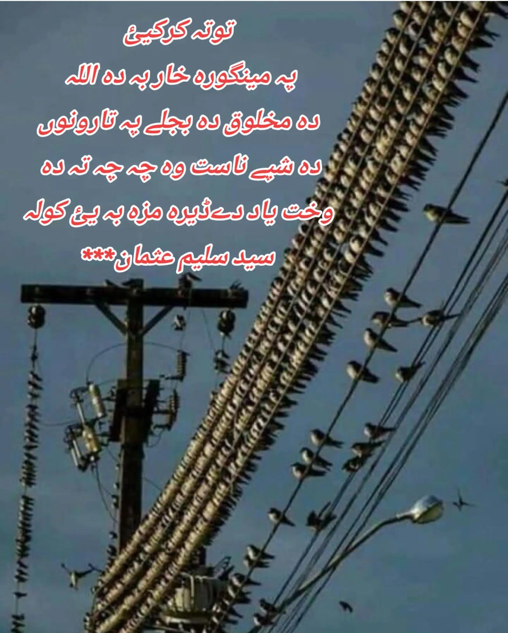 @Advt. Syed_Saleem_Usman_Shah