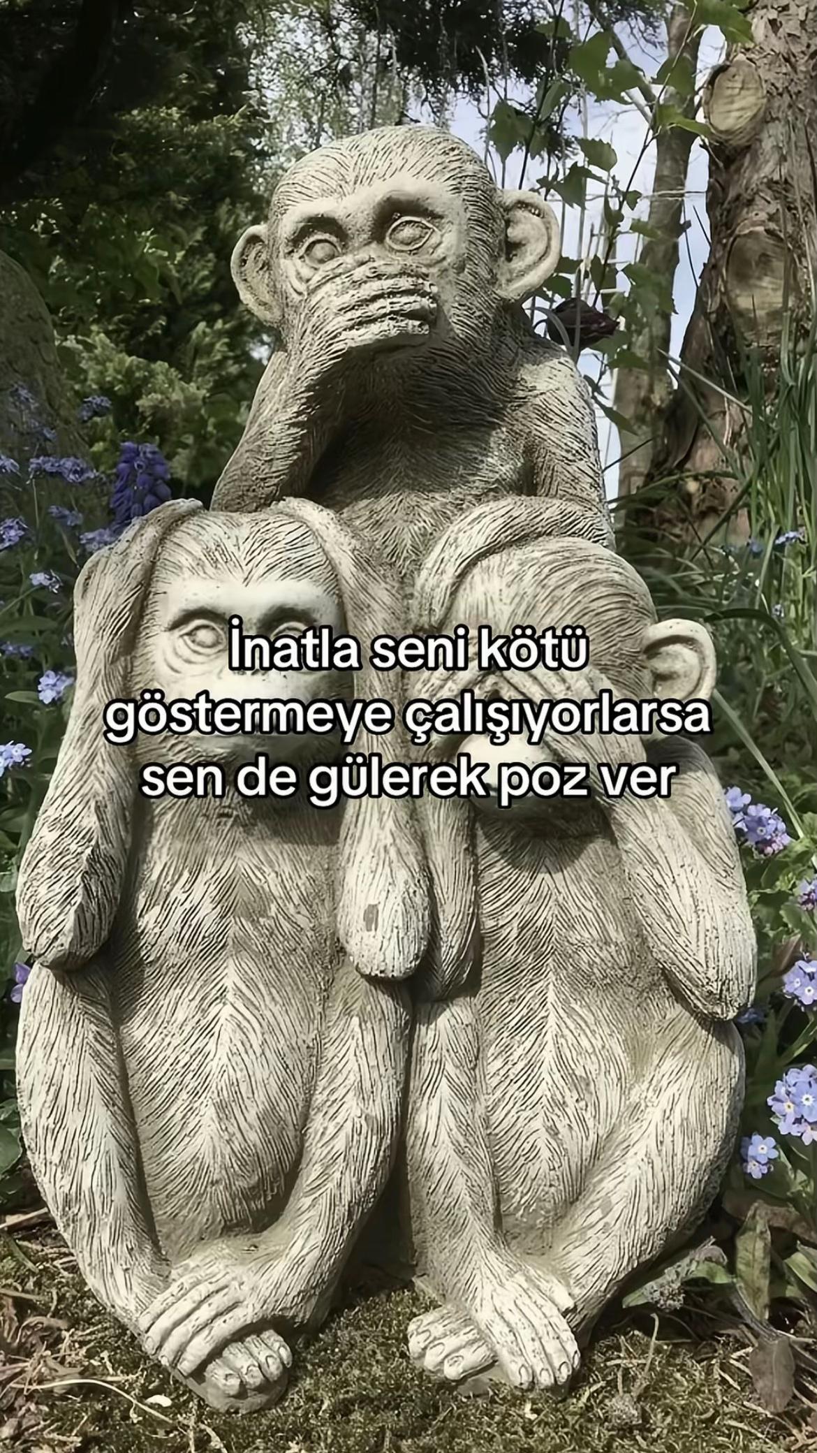 @Sezgin ރ