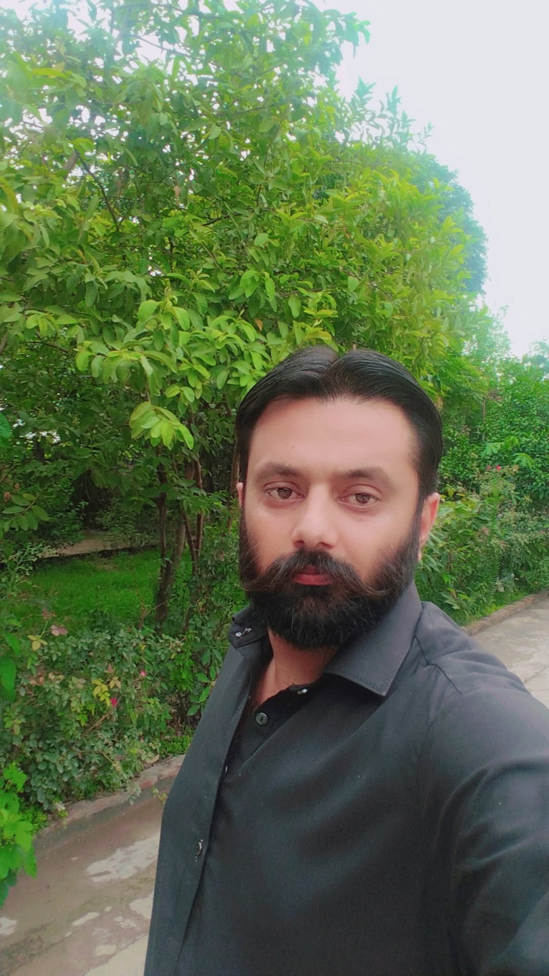 @Malik Ibrahim Pti 804