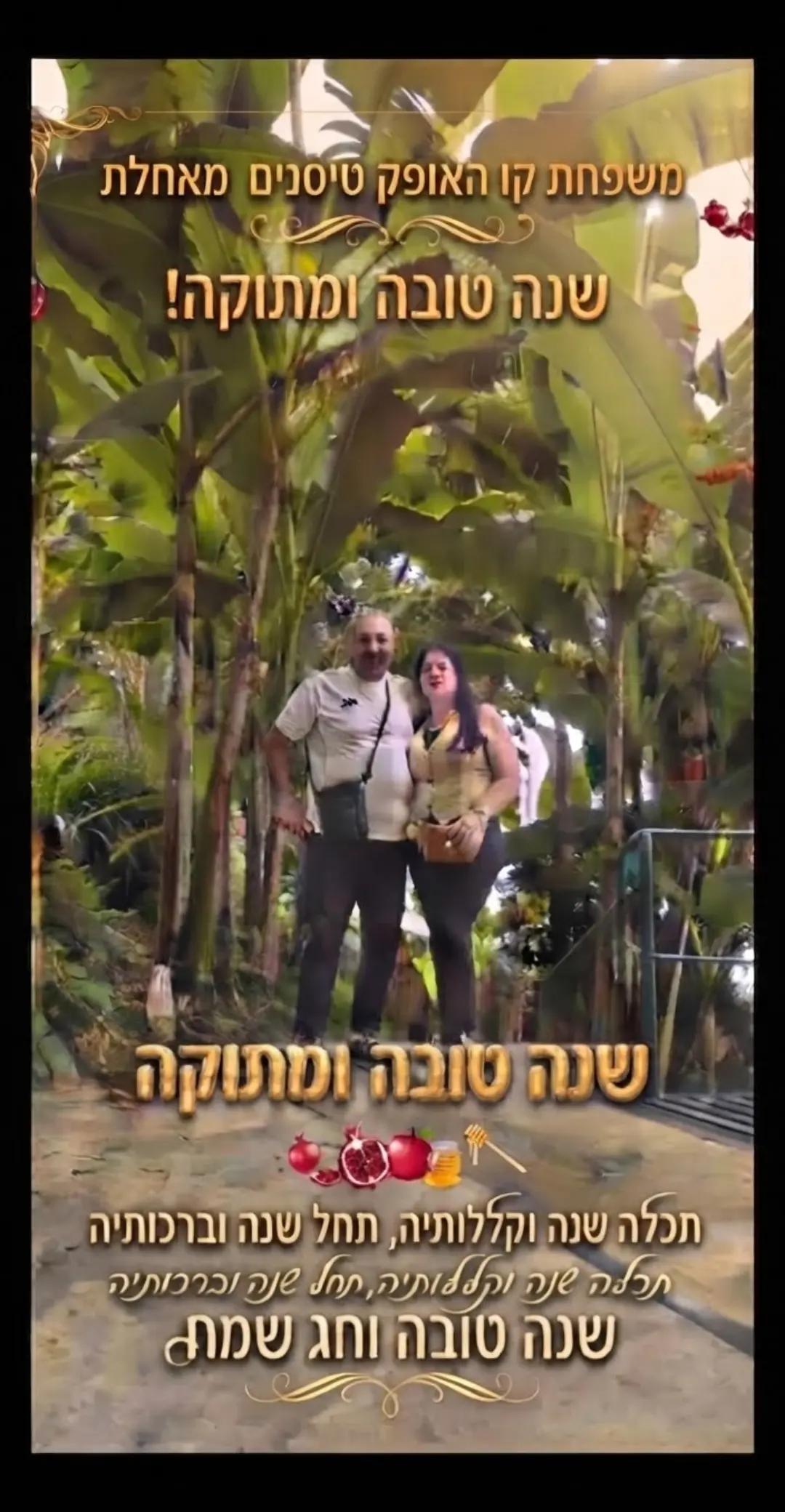 @קו האופק טיסנים