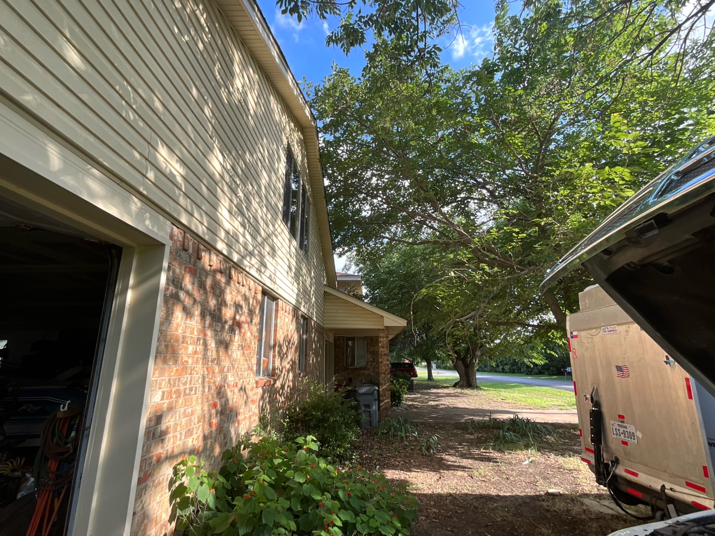 @Live Oak Tree Service
