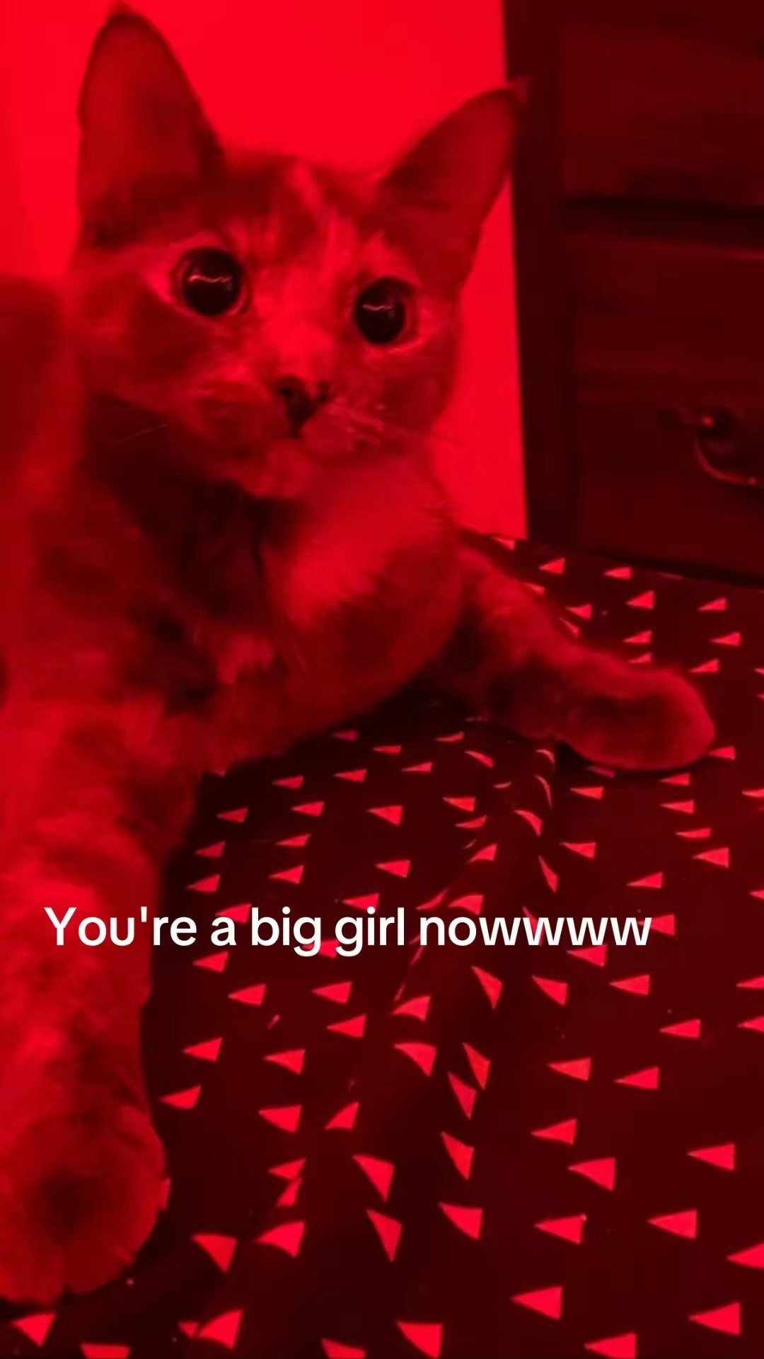 @🤎