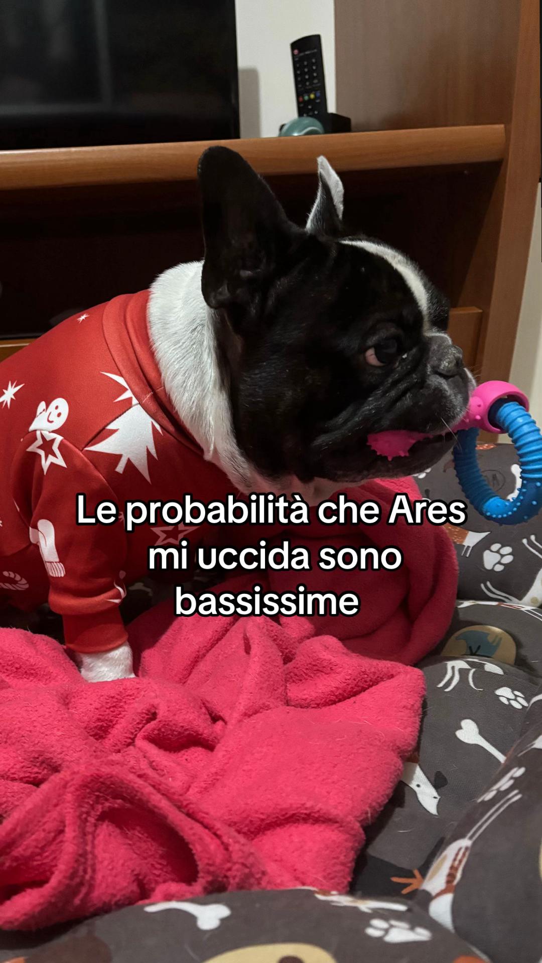 @Nicola Morelli