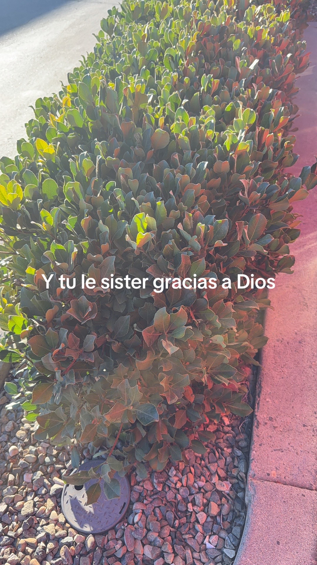 @raul perez986
