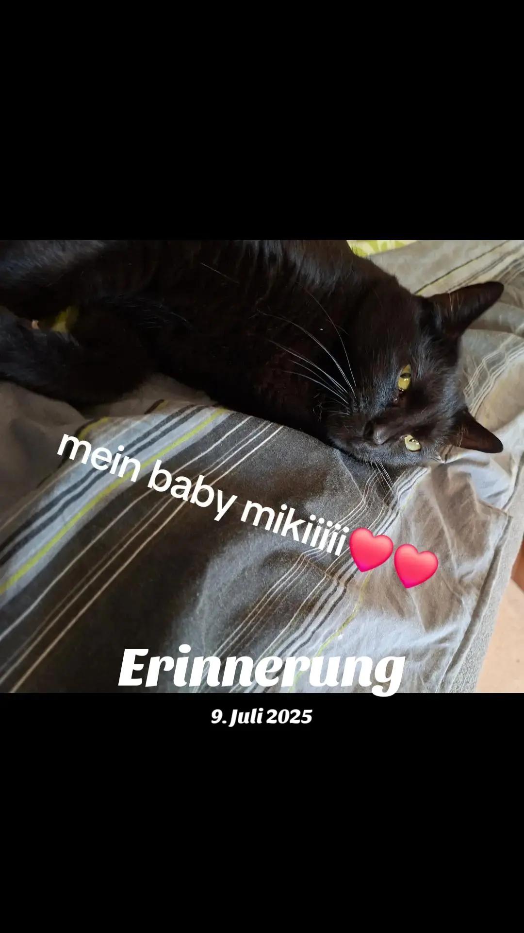 @🖤💀⚘️🖤