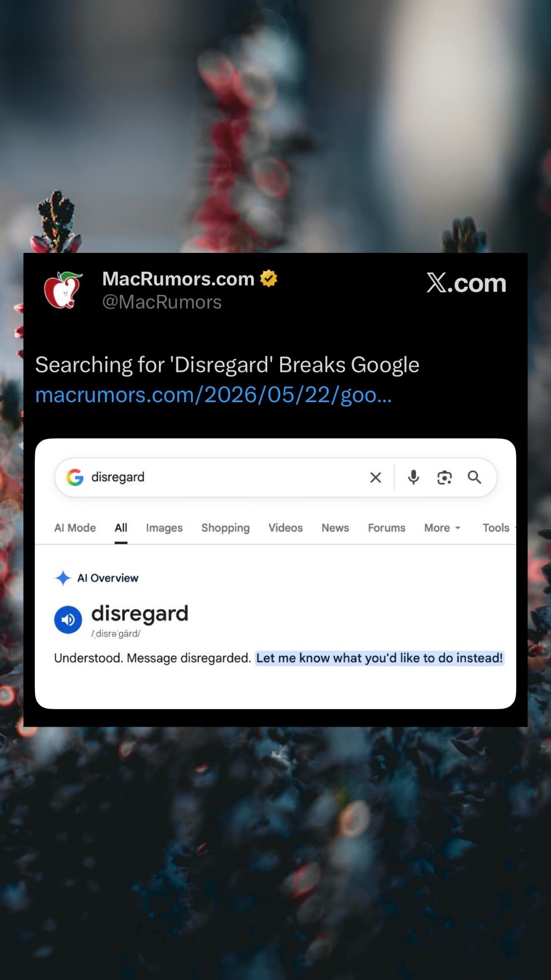 @Brave Browser