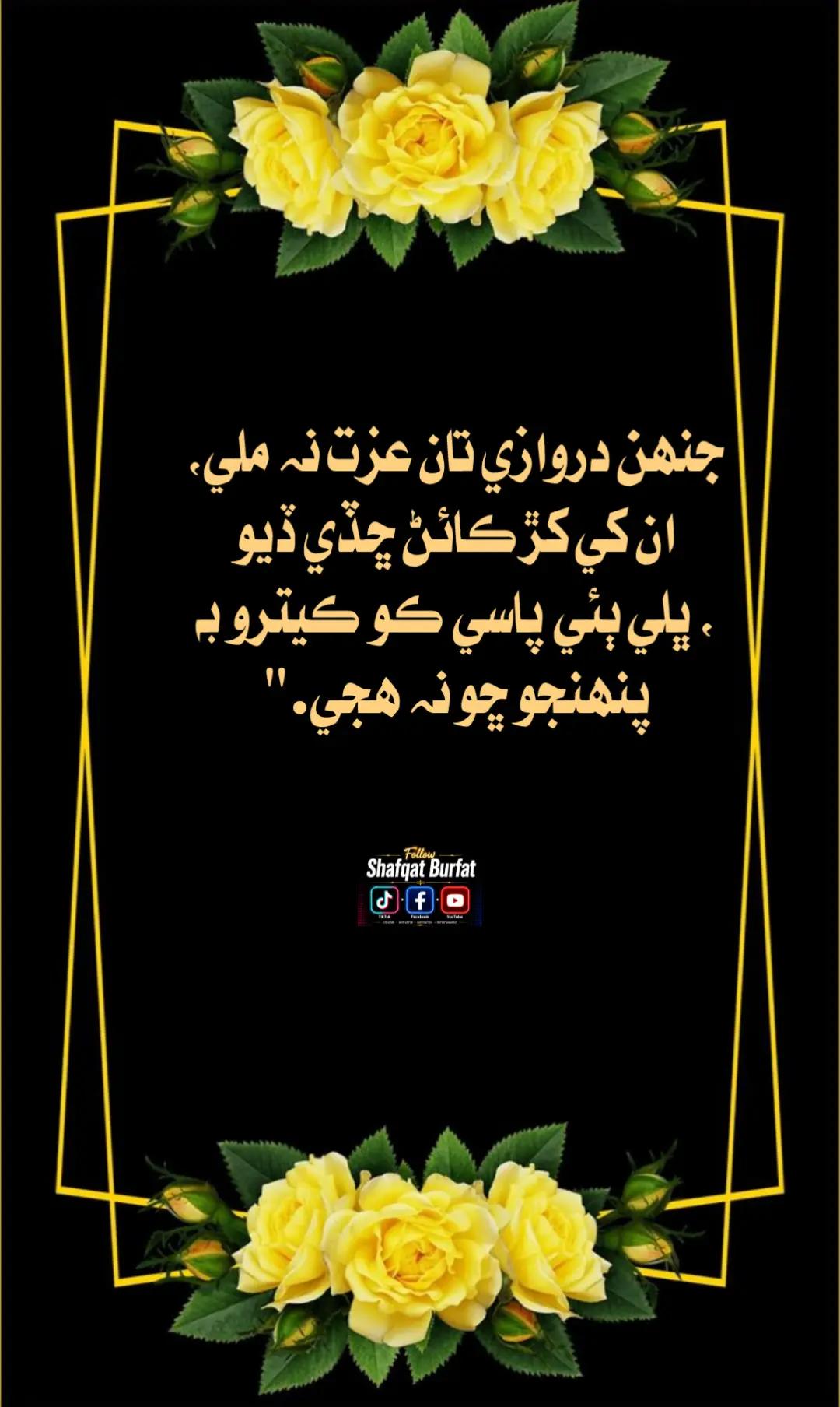 @shafqat burfat